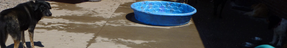 Water Play
