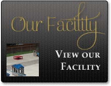 View Our Facility